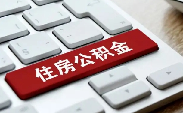 内蒙古黄牛是怎么取公积金的（内蒙古黄牛取公积金收多少手续费）